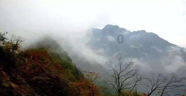 小猫钓鱼开船版最新版下载