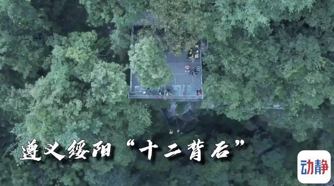 《雪中悍刀行》中，李淳罡为什么收姜泥为徒？游戏画面