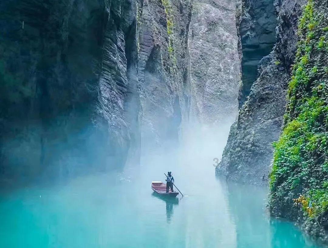 春雨直播app
