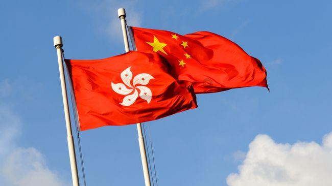 寻找海盗帽的男孩