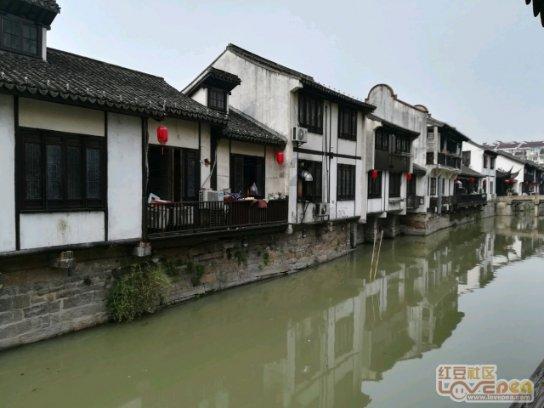小猫钓鱼游戏龙王版有船