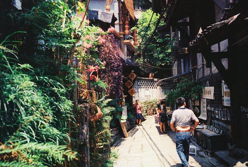 生态文明 | 盘锦：向绿而行 擦亮生态立市招牌